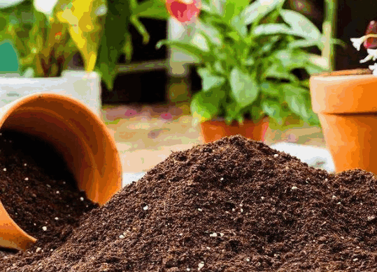 A pile of dark soil next to a tipped terra cotta planter with some greenery in the background