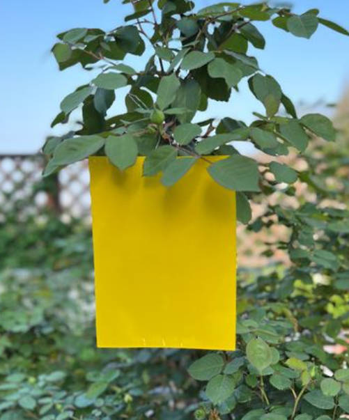 Aufhängen von Klebetafeln