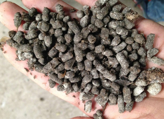 Fermented sheep manure